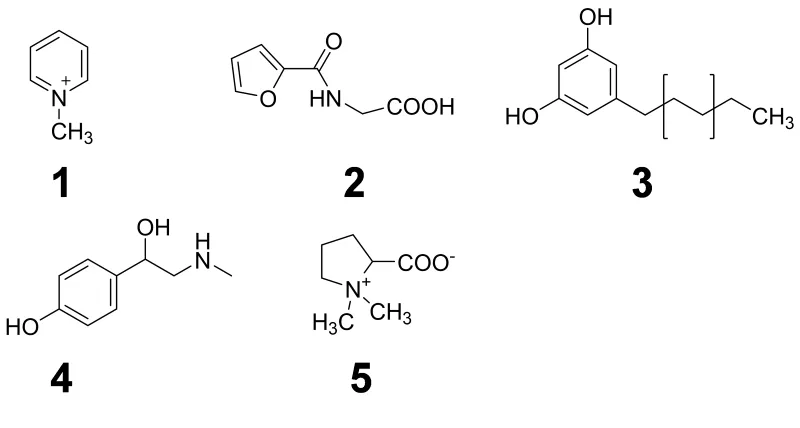 Fig. 3. Food-specific dietary biomarkers: 1: N-methylpyridinium cation (roast coffee), 2: furoyl-N-glycine (roast coffee), 3: alkylresorcinol (wheat whole grains), 4: synephrine (oranges, mandarines), 5: proline betaine (citrus fruits, Chinese artichoke).