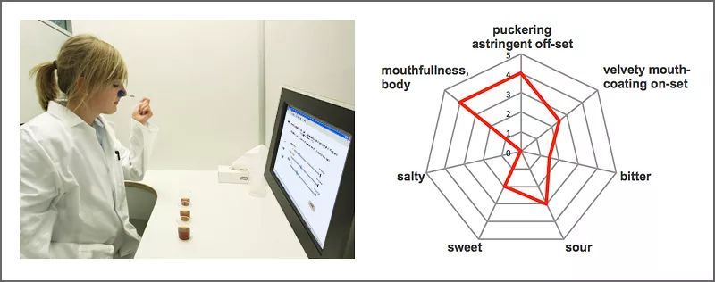 Sensory evaluation in a test booth (left) and taste profile of red wine (right)