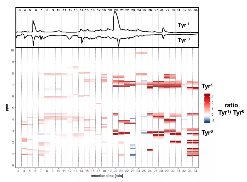 Fig. 4. HPLC chromatograms of a tyrosine-spiked yeast fermentation (Tyr1) and the control without tyrosine (Tyr0). (B) Differential NMR bucket analysis of the isolated fractions 3-34 showing the integral ratio (Tyr1/Tyr0) and chemical shift of modulated metabolites.
